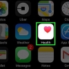 Se hur många mil du har gått på en iphone
