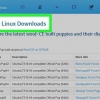 Installera puppy linux på din pc