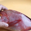 Förbered röd snapper