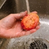 Koka röd potatis