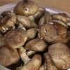 Förbereder shiitakes
