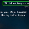 Göra siri upprörd