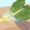 Hålla sallad färsk
