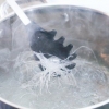 Gör sukiyaki