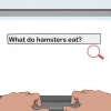 Att få tillstånd från dina föräldrar att ha en hamster
