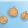 Plantera tulpanlökar