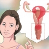 Diagnostisera vaginal flytning