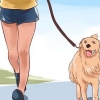Älska din hund