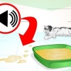 Förhindra din katt från att kissa på platser där det inte är tillåtet