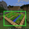 Samla morötter i minecraft