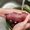 Laga sötpotatis