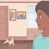 Att få en katt och en hund att tolerera varandra