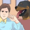 Ta hand om en rottweilervalp