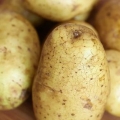 Koka potatis