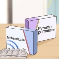 Bli av med pinworms