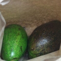 Lagra avokado