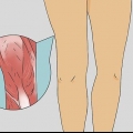 Massera benen