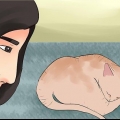 Avgöra om din katt är död