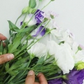 Torka blommor