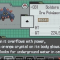 Boldore utvecklas