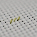 Broderi