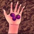 Göra konjak