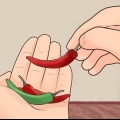 Odla chilipeppar
