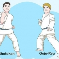 Förstå grunderna i karate