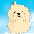 Identifiera dina adopterade blandraser