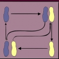Dansar vals