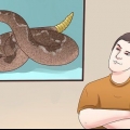 Förhindra en skallerormsattack