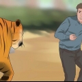 Att överleva en tigerattack
