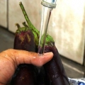 Skala en aubergine