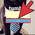 Ta bort en blogg på tumblr