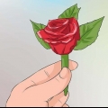 Fäst en boutonniere