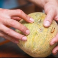 Köp en cantaloupe