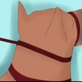 Att träna en doberman pinscher