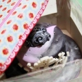 Förvaring av en fondantkaka