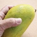 Att välja en bra mango