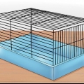 Tämja en hamster