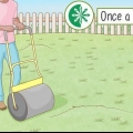 Planera en gropig gräsmatta