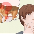 Att göra en hund fetare