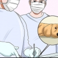 Hur man får en hund att sluta bita