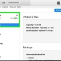 Sätt en ipod eller iphone i dfu-läge