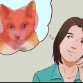 Att få en katt som husdjur