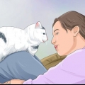 Stoppa en katt från att väcka dig