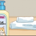 Bada en katt med minimal skada
