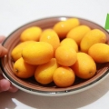 Äter en kumquat