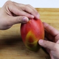 Skala mangon