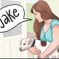 Skapa ett namn för din valp eller hund